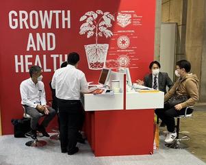 Network Engineer in IT/Software