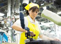 Dry Cleaning factory (General Work)