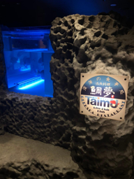 Restaurant (Waiter/ Waitress)