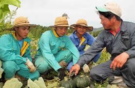 General Work in Farming