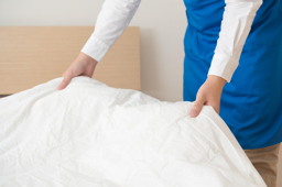 Hotel (Hotel Cleaner)