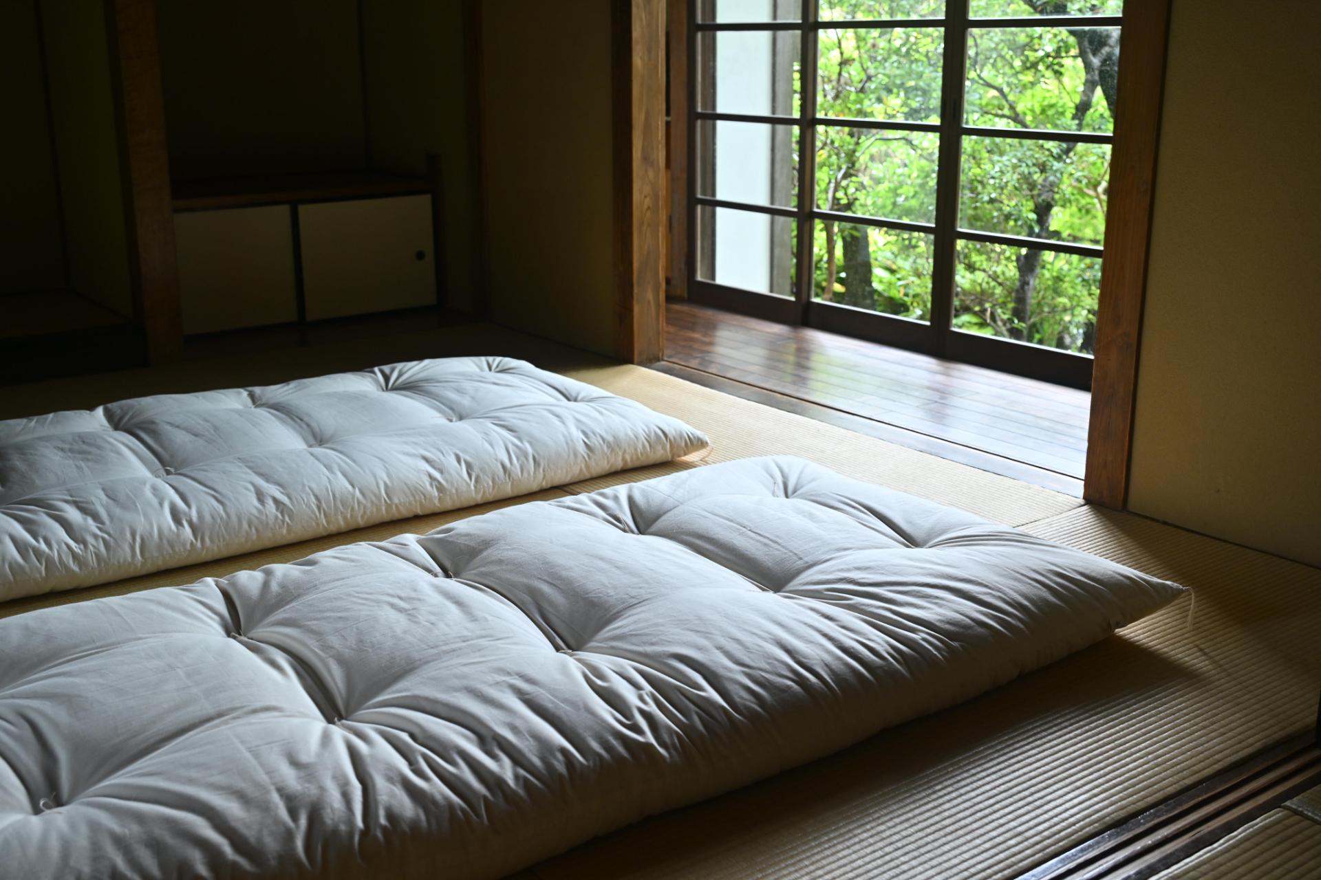 Administrador/Inglês-Japonês in Escritório