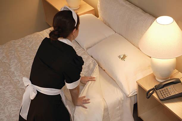 Hotel Cleaner in Hotel
