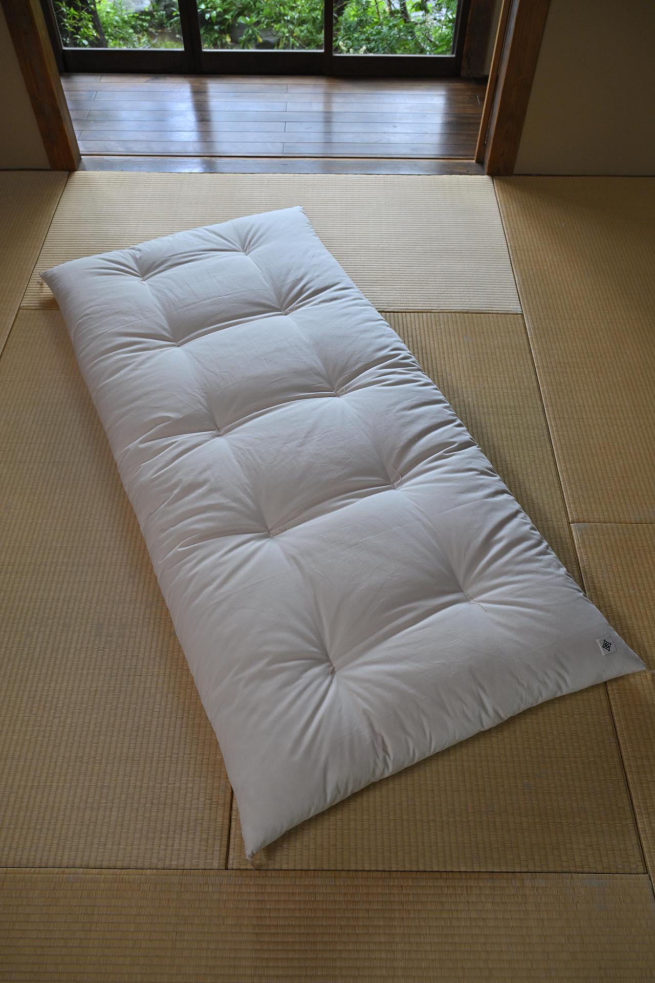 Web designer in IT/Software