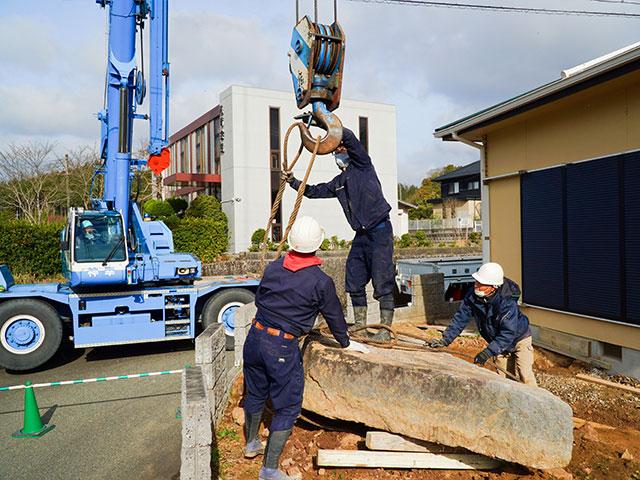 အျခား in ဥယျာဉ်