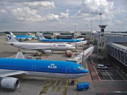 Airport (Luggage Staff)